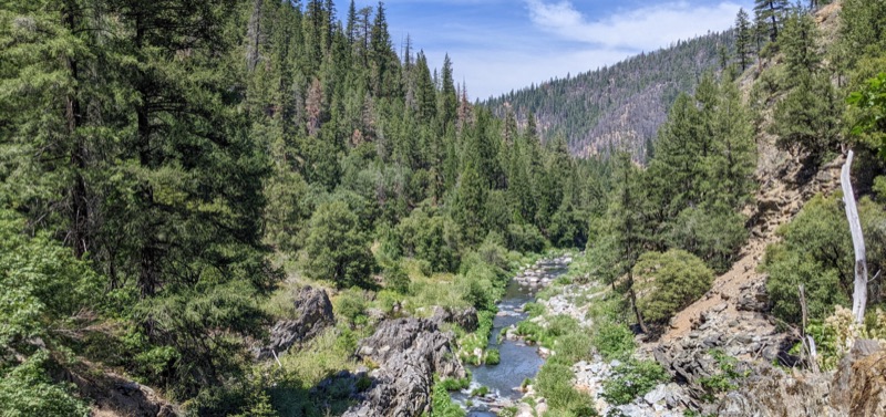 Spanish Creek forest restoration