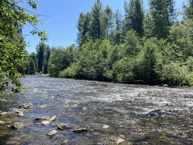 A forested stream in the Columbia Basin
