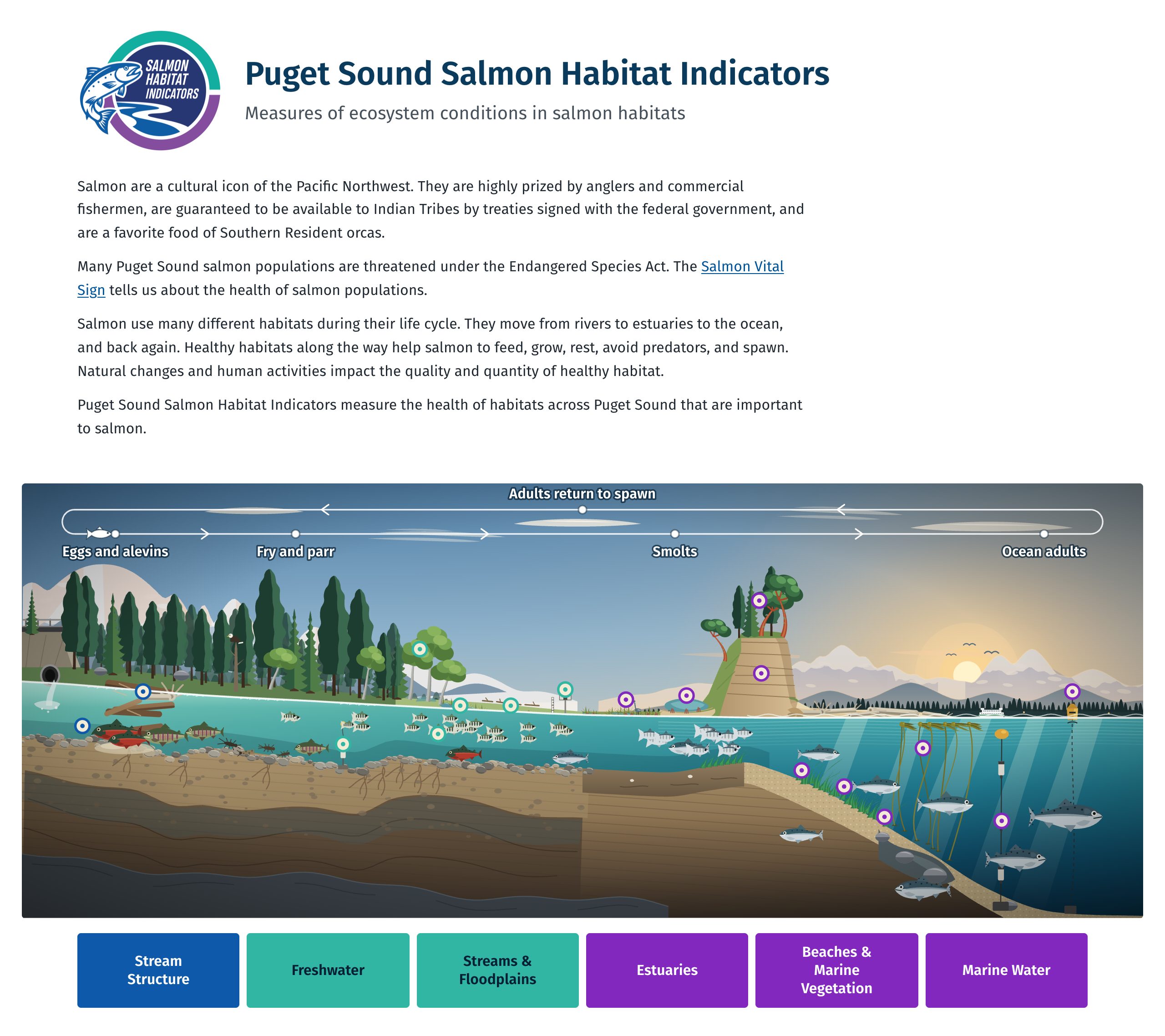 Puget Sound Salmon Habitat Indicators, outlined: Logo and About, Habitat diorama