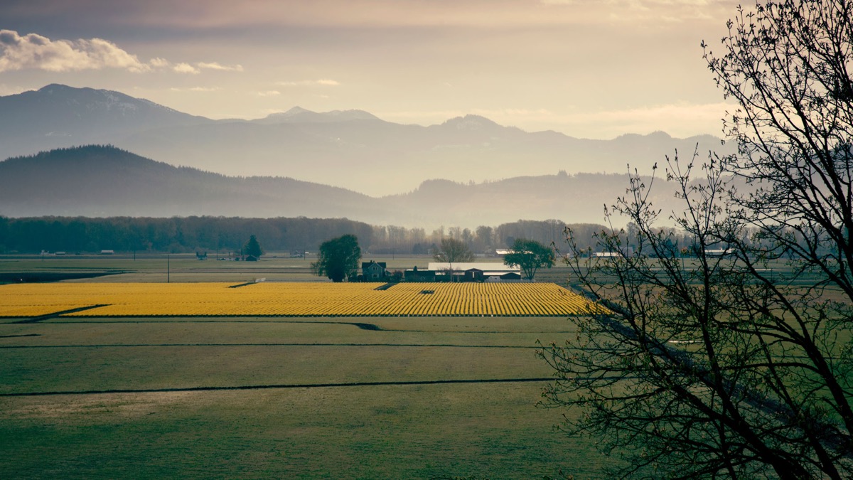 Farmland and forested foothills near the Puget Sound watershed