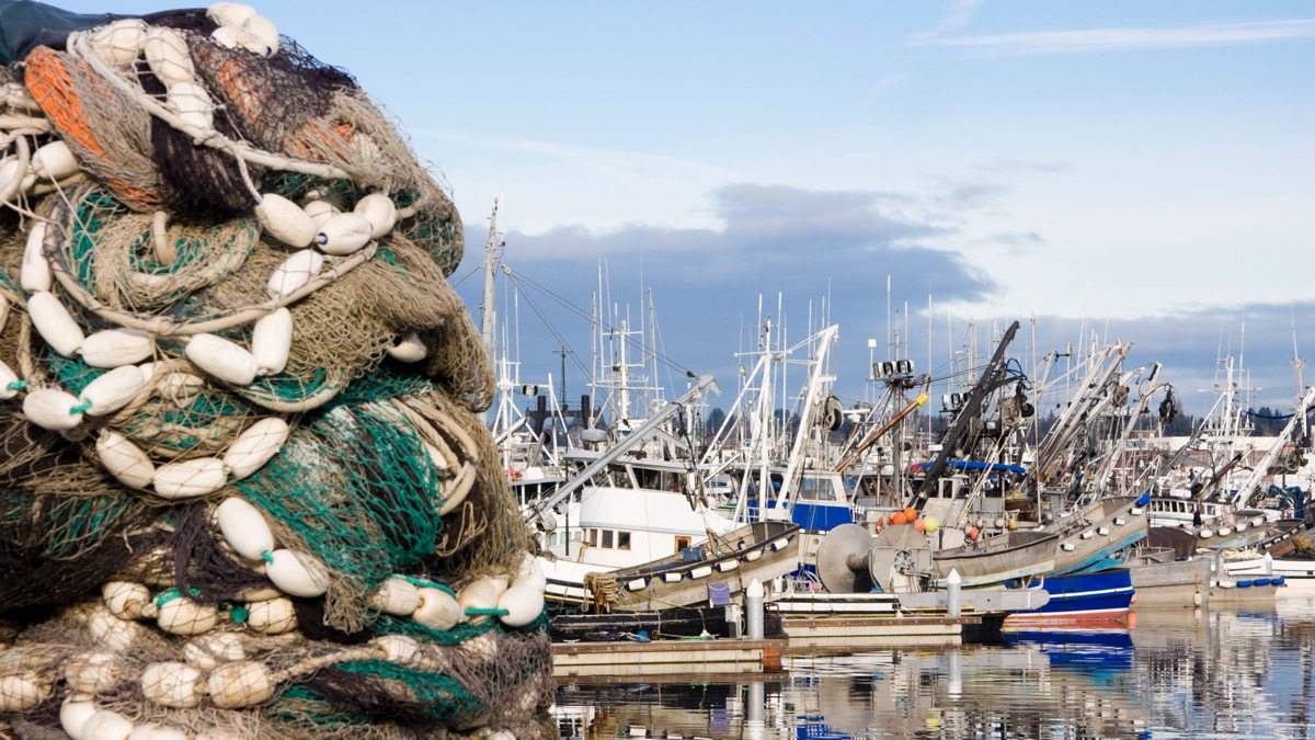 Stacked fishing nets and floats on a dock with commercial fishing boats moored behind