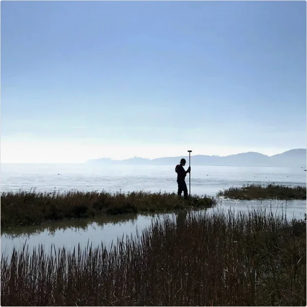 A restored tidal marsh under monitoring
