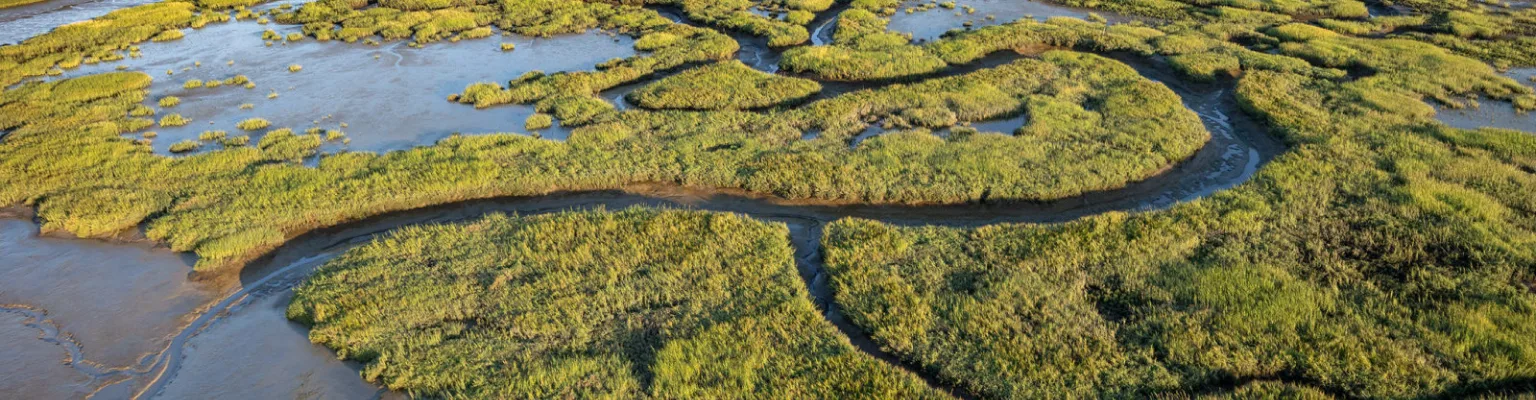 Aerial view of a tidal marsh